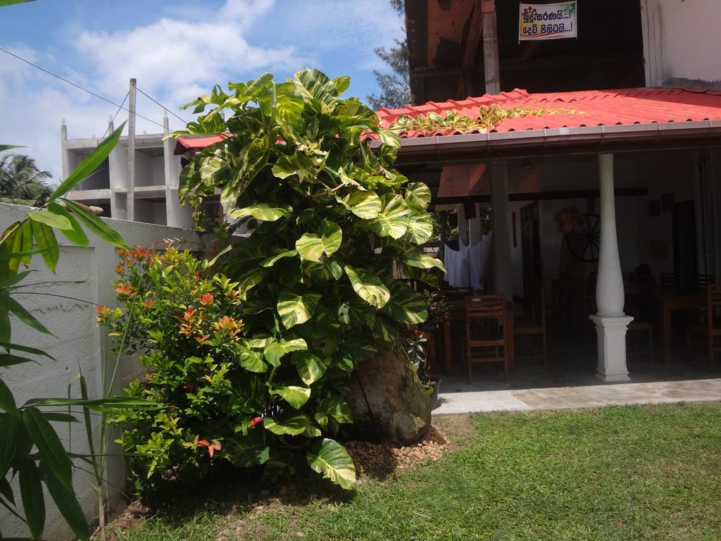 Bed and Breakfast Ceylon Surf Guest And Restaurant Велігама Екстер'єр фото